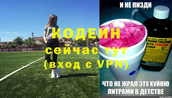 дмт Бородино
