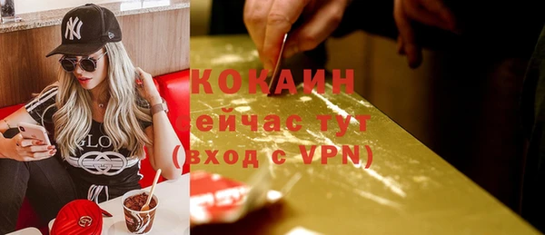 стаф Бронницы