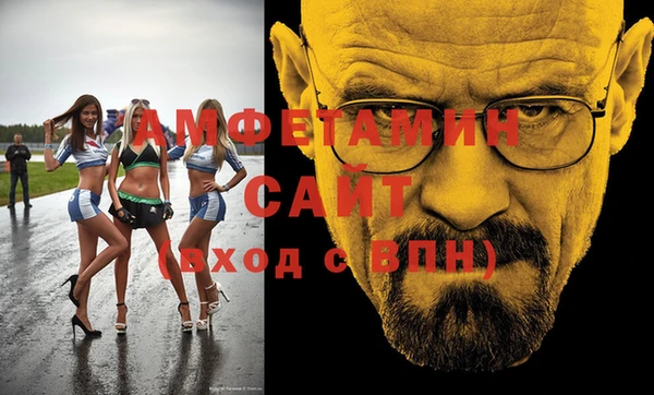 дмт Бородино