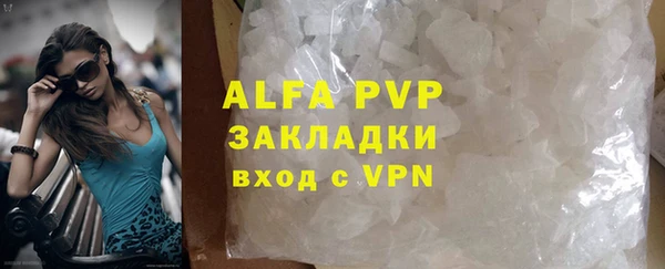 дмт Бородино