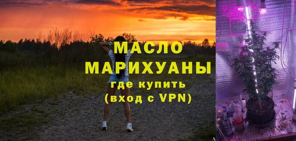 дмт Бородино