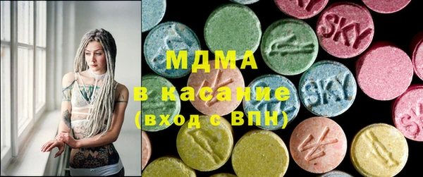 дмт Бородино
