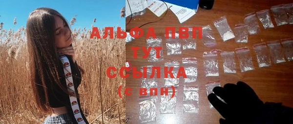 стаф Бронницы