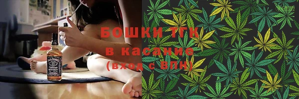 стаф Бронницы