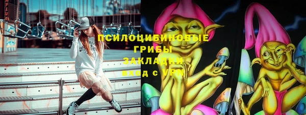 дмт Бородино