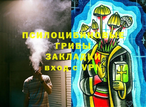 дмт Бородино