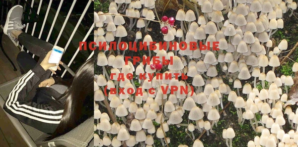 стаф Бронницы