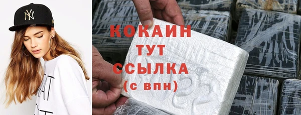 дмт Бородино